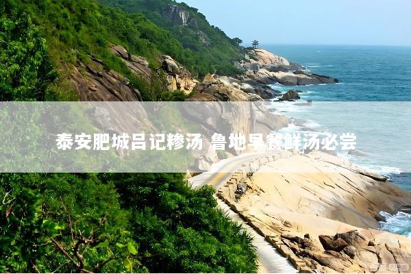 泰安肥城吕记糁汤 鲁地早餐鲜汤必尝