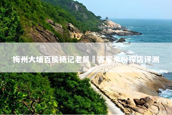 梅州大埔百侯杨记老鼠粄客家米粉探店评测