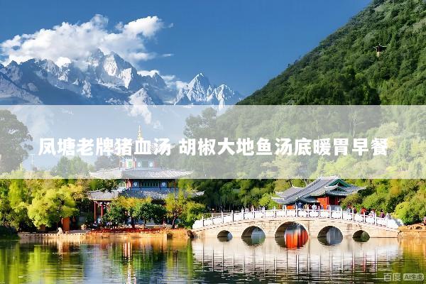 凤塘老牌猪血汤 胡椒大地鱼汤底暖胃早餐