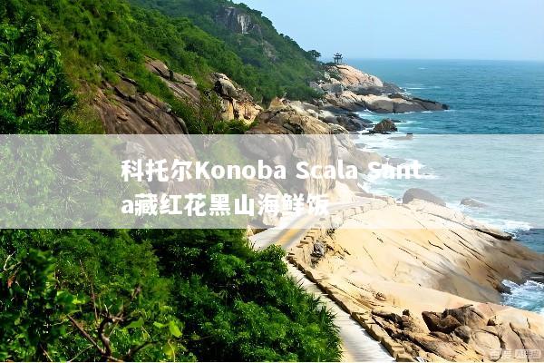 科托尔Konoba Scala Santa藏红花黑山海鲜饭