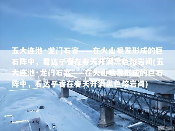 五大连池·龙门石寨——在火山喷发形成的巨石阵中，看达子香在春天开满黑色熔岩间(五大连池·龙门石寨——在火山喷发形成的巨石阵中，看达子香在春天开满黑色熔岩间)