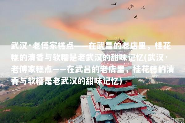 武汉·老傅家糕点——在武昌的老店里，桂花糕的清香与软糯是老武汉的甜味记忆(武汉·老傅家糕点——在武昌的老店里，桂花糕的清香与软糯是老武汉的甜味记忆)