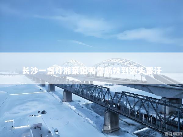 长沙一盏灯湘菜馆鸭掌筋辣到额头冒汗