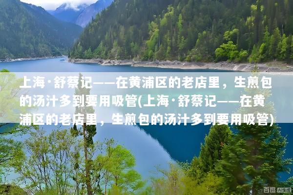 上海·舒蔡记——在黄浦区的老店里，生煎包的汤汁多到要用吸管(上海·舒蔡记——在黄浦区的老店里，生煎包的汤汁多到要用吸管)
