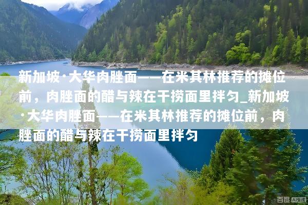 新加坡·大华肉脞面——在米其林推荐的摊位前，肉脞面的醋与辣在干捞面里拌匀_新加坡·大华肉脞面——在米其林推荐的摊位前，肉脞面的醋与辣在干捞面里拌匀