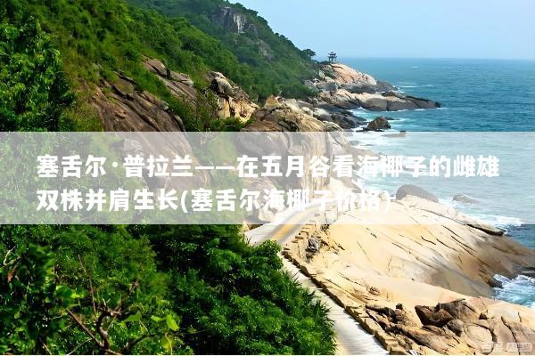 塞舌尔·普拉兰——在五月谷看海椰子的雌雄双株并肩生长(塞舌尔海椰子价格)