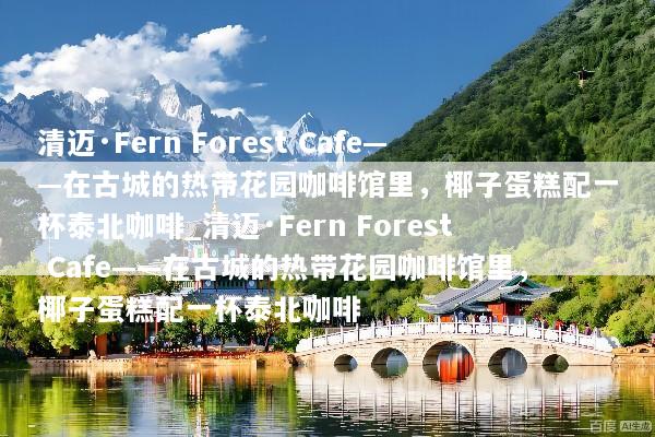 清迈·Fern Forest Cafe——在古城的热带花园咖啡馆里，椰子蛋糕配一杯泰北咖啡_清迈·Fern Forest Cafe——在古城的热带花园咖啡馆里，椰子蛋糕配一杯泰北咖啡