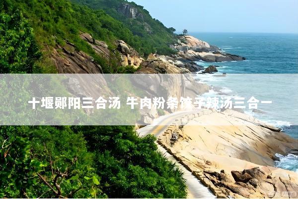 十堰郧阳三合汤 牛肉粉条饺子辣汤三合一