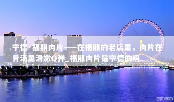 宁德·福鼎肉片——在福鼎的老店里，肉片在骨汤里滑嫩Q弹_福鼎肉片是宁德的吗