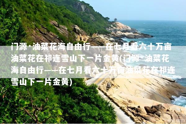 门源·油菜花海自由行——在七月看六十万亩油菜花在祁连雪山下一片金黄(门源·油菜花海自由行——在七月看六十万亩油菜花在祁连雪山下一片金黄)