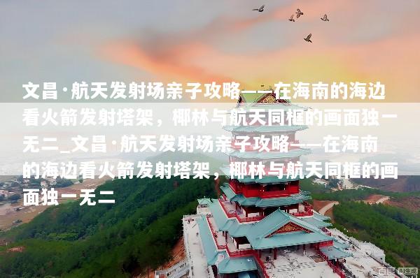 文昌·航天发射场亲子攻略——在海南的海边看火箭发射塔架，椰林与航天同框的画面独一无二_文昌·航天发射场亲子攻略——在海南的海边看火箭发射塔架，椰林与航天同框的画面独一无二