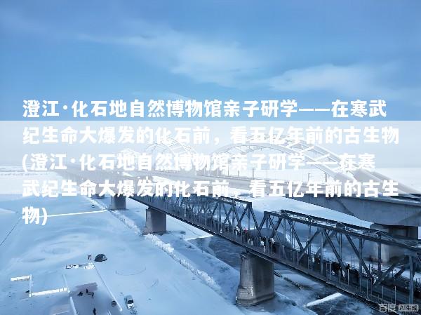 澄江·化石地自然博物馆亲子研学——在寒武纪生命大爆发的化石前，看五亿年前的古生物(澄江·化石地自然博物馆亲子研学——在寒武纪生命大爆发的化石前，看五亿年前的古生物)
