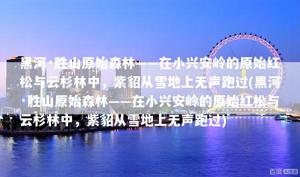 黑河·胜山原始森林——在小兴安岭的原始红松与云杉林中，紫貂从雪地上无声跑过(黑河·胜山原始森林——在小兴安岭的原始红松与云杉林中，紫貂从雪地上无声跑过)