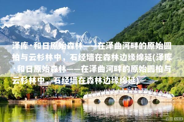 泽库·和日原始森林——在泽曲河畔的原始圆柏与云杉林中，石经墙在森林边缘绵延(泽库·和日原始森林——在泽曲河畔的原始圆柏与云杉林中，石经墙在森林边缘绵延)