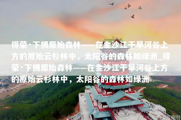 得荣·下拥原始森林——在金沙江干旱河谷上方的原始云杉林中，太阳谷的森林如绿洲_得荣·下拥原始森林——在金沙江干旱河谷上方的原始云杉林中，太阳谷的森林如绿洲