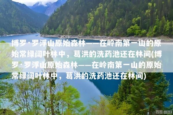 博罗·罗浮山原始森林——在岭南第一山的原始常绿阔叶林中，葛洪的洗药池还在林间(博罗·罗浮山原始森林——在岭南第一山的原始常绿阔叶林中，葛洪的洗药池还在林间)