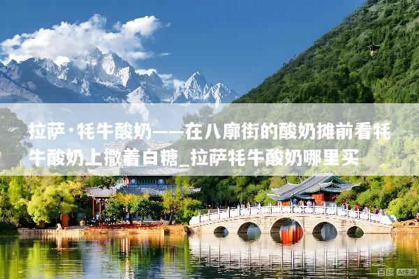 拉萨·牦牛酸奶——在八廓街的酸奶摊前看牦牛酸奶上撒着白糖_拉萨牦牛酸奶哪里买