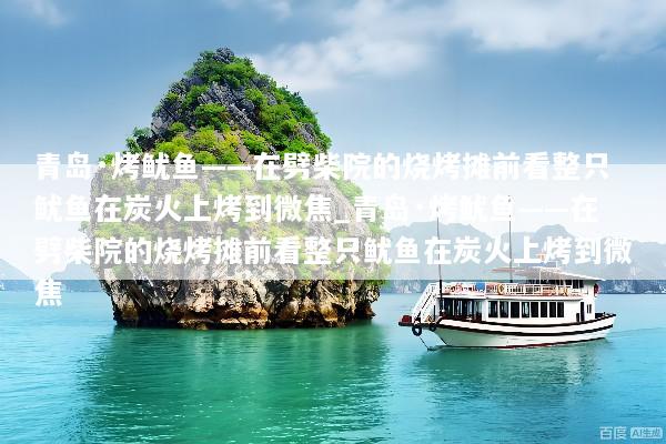 青岛·烤鱿鱼——在劈柴院的烧烤摊前看整只鱿鱼在炭火上烤到微焦_青岛·烤鱿鱼——在劈柴院的烧烤摊前看整只鱿鱼在炭火上烤到微焦