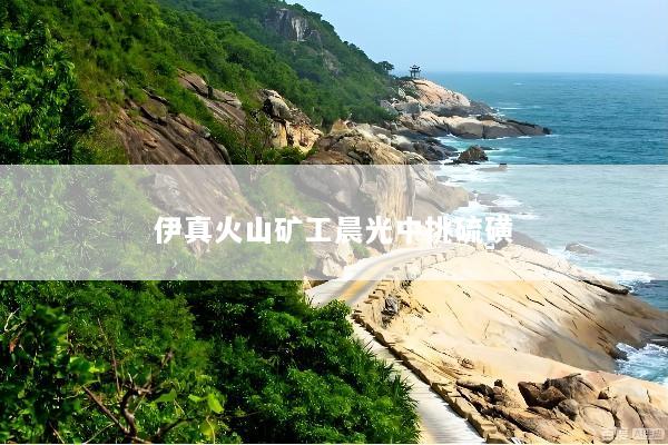 伊真火山矿工晨光中挑硫磺