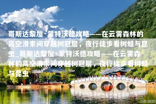 哥斯达黎加·蒙特沃德攻略——在云雾森林的高空滑索间穿越树冠层，夜行徒步看树蛙与昆虫_哥斯达黎加·蒙特沃德攻略——在云雾森林的高空滑索间穿越树冠层，夜行徒步看树蛙与昆虫