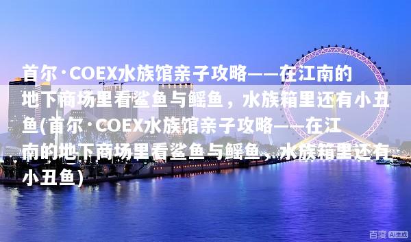 首尔·COEX水族馆亲子攻略——在江南的地下商场里看鲨鱼与鳐鱼，水族箱里还有小丑鱼(首尔·COEX水族馆亲子攻略——在江南的地下商场里看鲨鱼与鳐鱼，水族箱里还有小丑鱼)