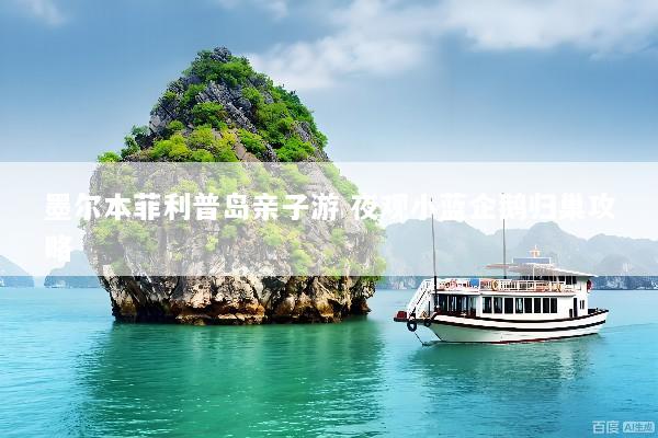 墨尔本菲利普岛亲子游 夜观小蓝企鹅归巢攻略