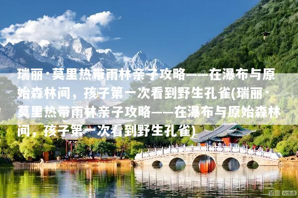 文章配图